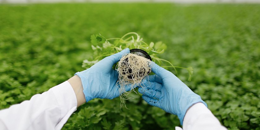 The Future is Bright for Green Jobs